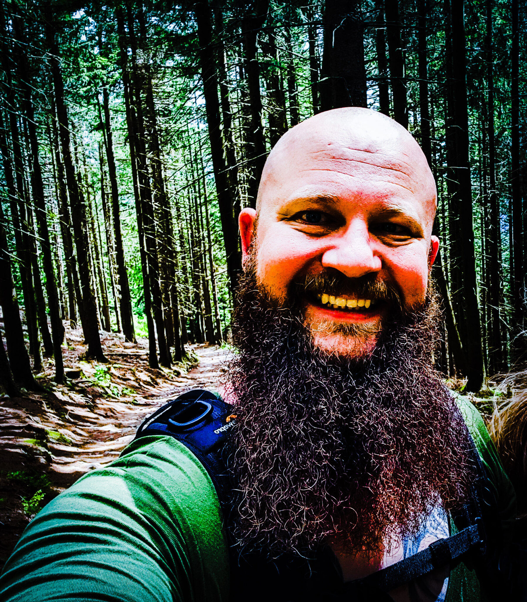 koalaontour-thorsten-grueger